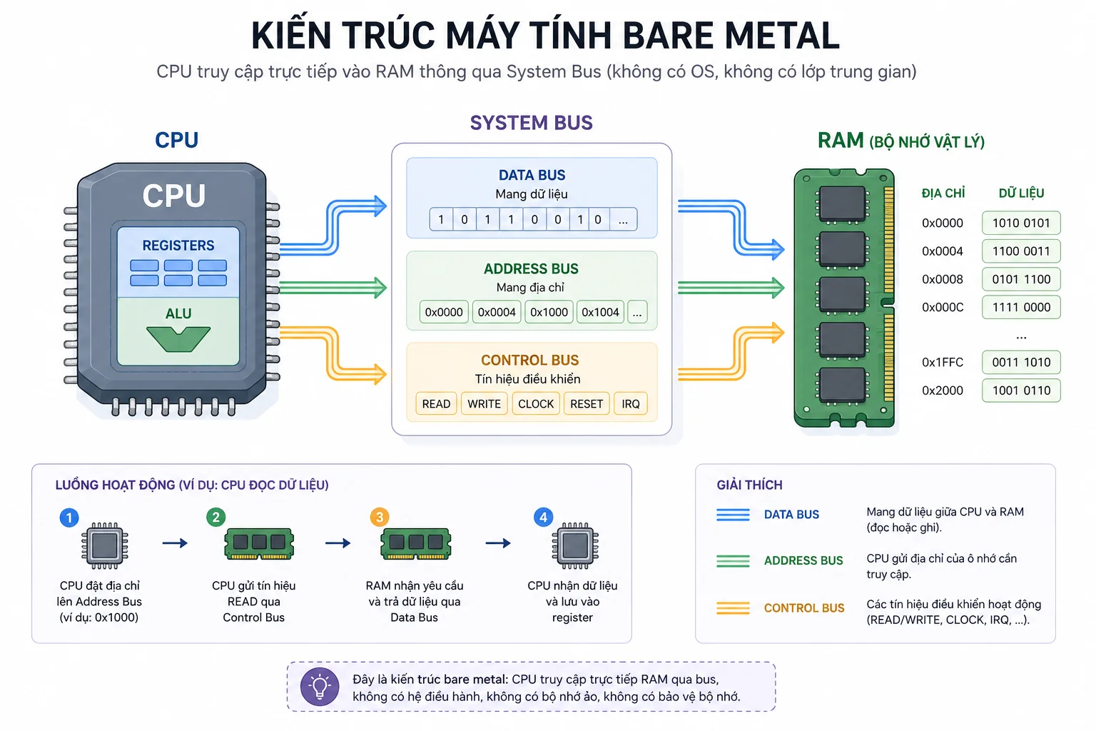 Phần cứng tổng quan: CPU, Bus và RAM vật lý